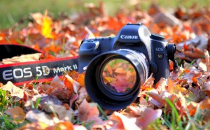 CherokeePhotography