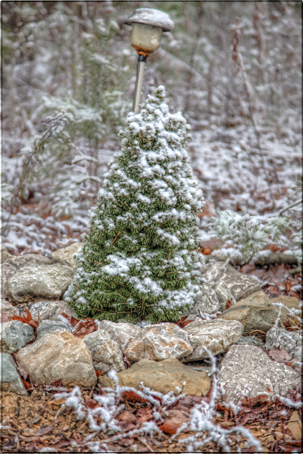 Snow HDR