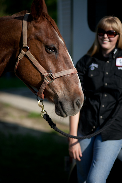 Katie & Fritz Equestrian