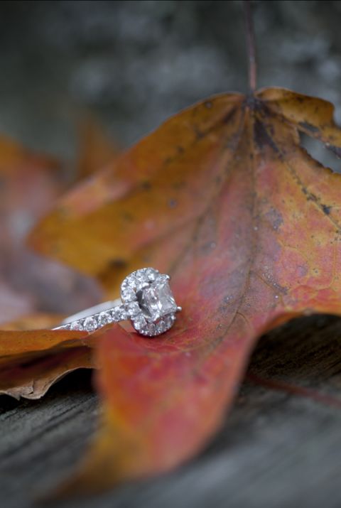 Cortney & Chad Engagement Photography 502Photos